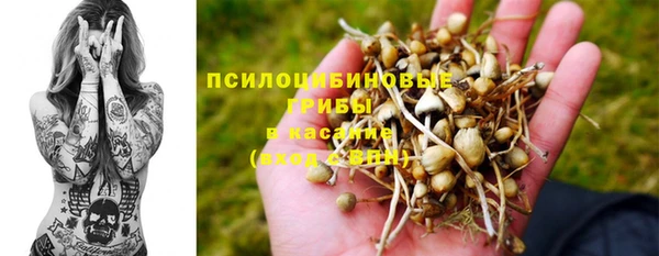 мдма Бородино