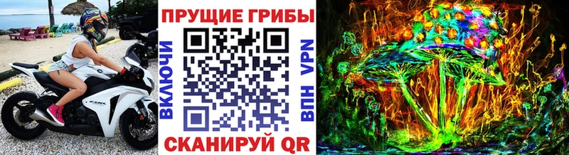 Псилоцибиновые грибы мухоморы Калининград