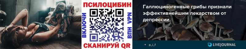 Галлюциногенные грибы Psilocybe  купить  цена  Калининград 